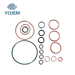 KIT DE O-RINGS  PARA SISTEMA ABSORBEDOR DE MAQUINA DE ANESTESIA GE DATEX OHMEDA REF: 893642